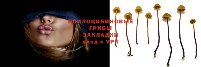 не бодяженный Алзамай