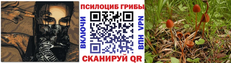 Галлюциногенные грибы GOLDEN TEACHER  Алагир 